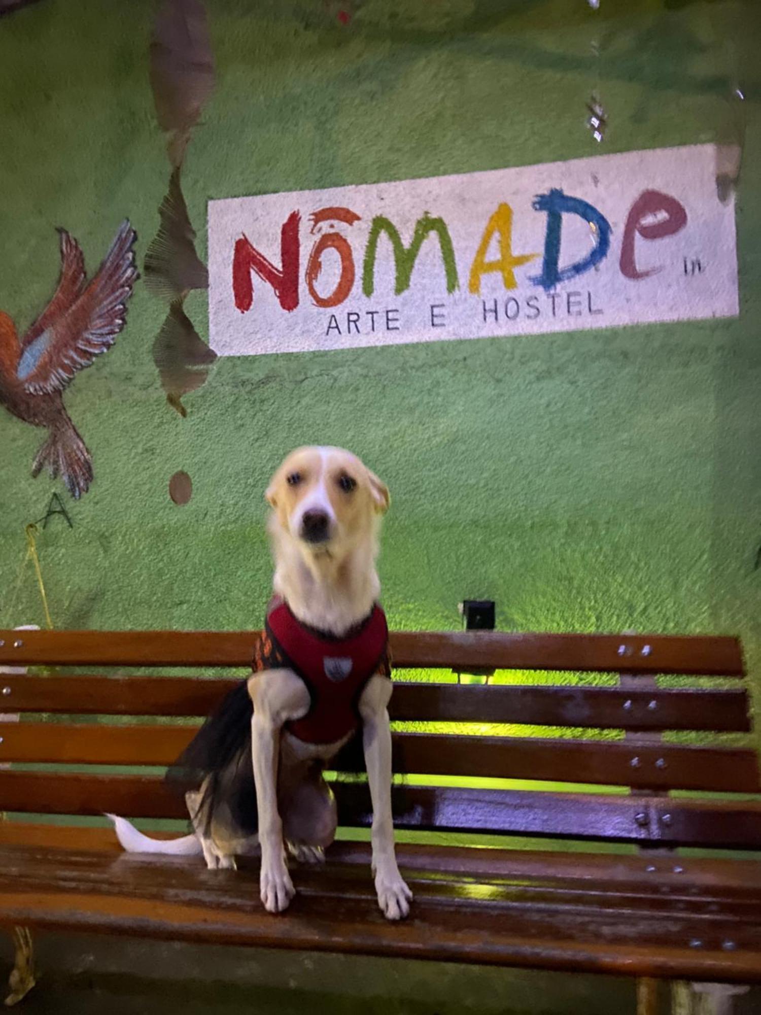Nomade In Arte E Hostel São Paulo Buitenkant foto